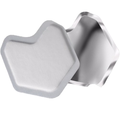 Microbrush International Reflective Dry Tips - Large, 50-Pack