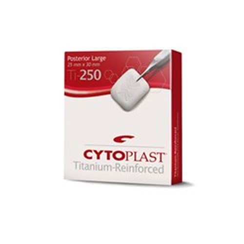 Cyto Ti-250 Membrane 25 x 30 Titanium Reinforced