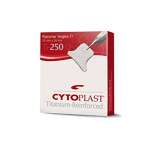Cyto Ti-250 Membrane 25 x 36 Titanium Reinforced