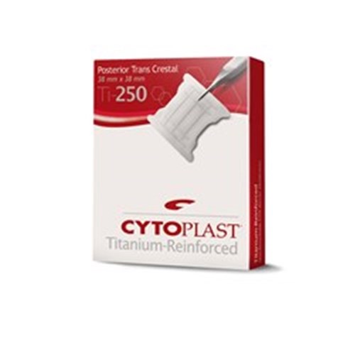 Cytoplast Ti-250 PTFE Membrane 38 x 38mm 1pc