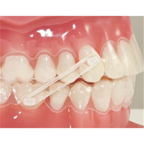 Creatures of the Sea Elastics - Non-Latex Medium 3/16