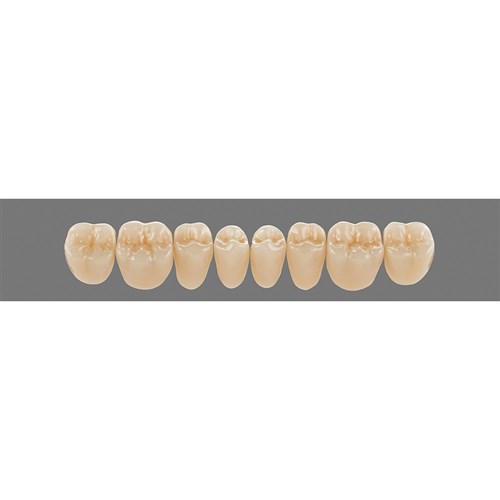 Lower 21L C1 Lingoform Teeth - Classical