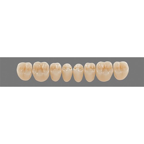 Lower 22L D2 Lingoform Teeth - Classical