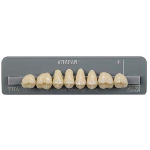 Vita Vitapan Classical Upper, Posterior, Synoform, Shade A1, Mould 14S