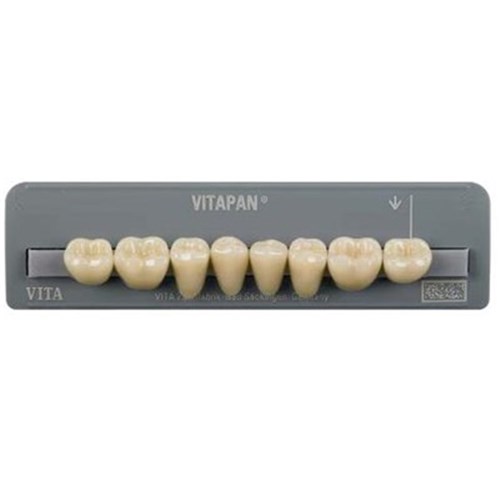 Vita Vitapan Classical Lower, Posterior, Cuspiform, Shade A1, Mould 40C
