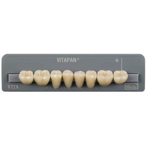 Vita Vitapan Classical Lower, Posterior, Cuspiform, Shade A1, Mould 40C