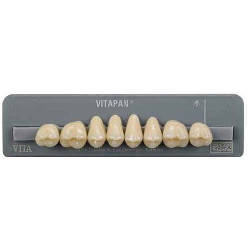 Vita Vitapan Classical Upper, Posterior, Synoform, Shade A3, Mould 10S