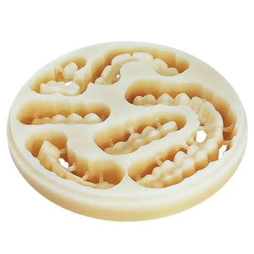 PoliDent Basic PMMA Disc - 98.5 x 15mm - Shade B1