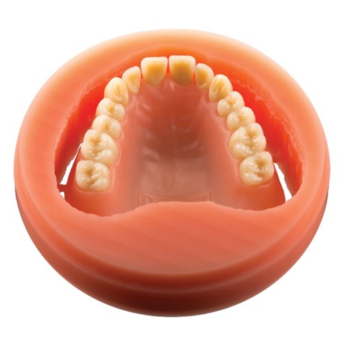 Polident Pink Disc - Veined - 98.5 x 30mm