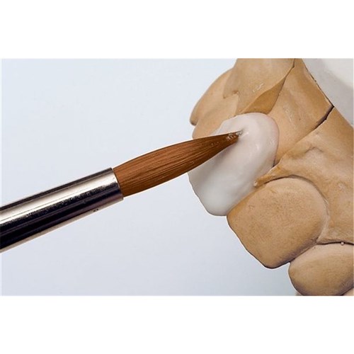 Renfert KOLINSKY Natural Bristle Brush - Size 1, 2-Pack