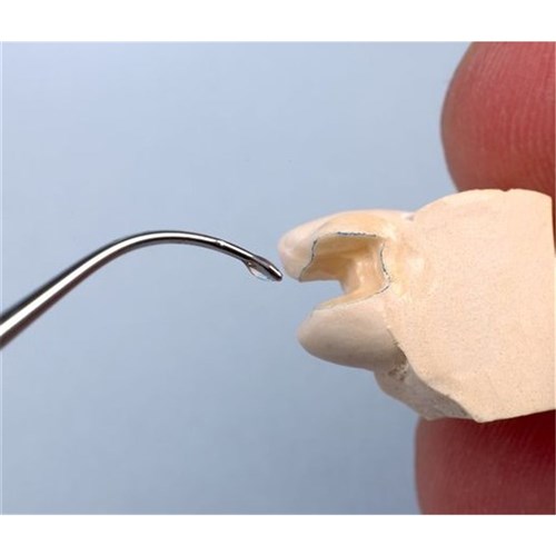 Renfert Liquicol - Low Viscosity Glue for Sealing Plaster - 20g, 2-Pack