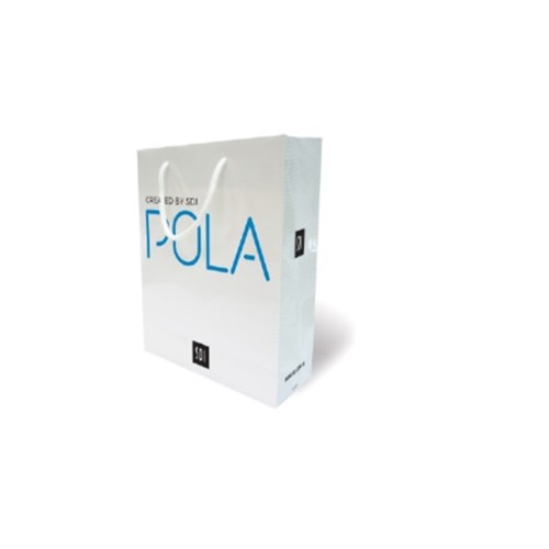 SDI Pola Marketing Material - Carry Bag