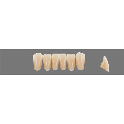 Vita Vitapan EXCELL 3D, Lower, Anterior, Shade 0M3, Mould L35