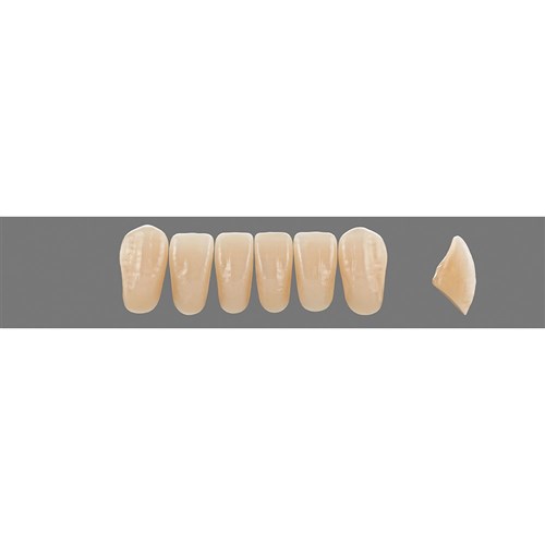 Vita Vitapan EXCELL 3D, Lower, Anterior, Shade 0M3, Mould L41