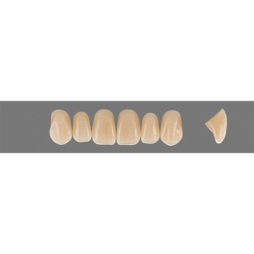 2M3 Upper T44 Anterior