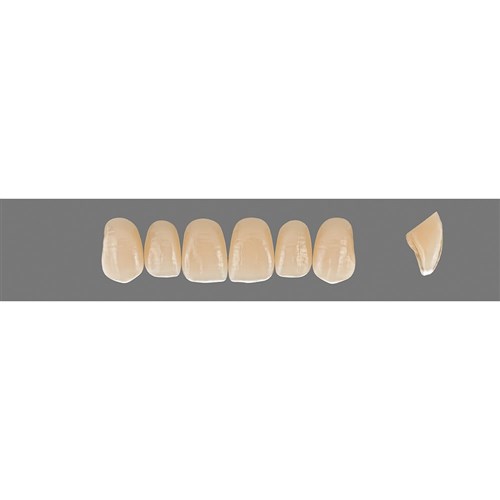 C4 Upper O43 Anterior