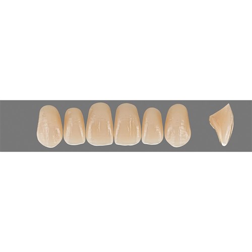 D3 Upper O51 Anterior