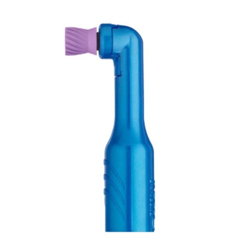 Young Prophy Angle - Standard Brush - Disposable, 100-Pack