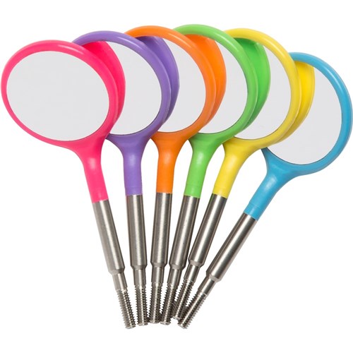 ZIRC Crystal Plastic Mirror Head - Vibrant Assorted - Size 5 - Simple Stem -, 12-Pack