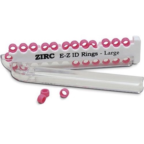 ZIRC E Z ID Rings for Instruments - Large - Neon Pink - 6.35mm, 25-Pack