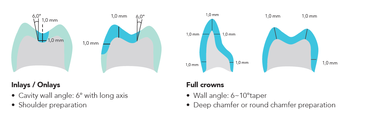 A diagram of teeth and a diagram of teethAI-generated content may be incorrect.